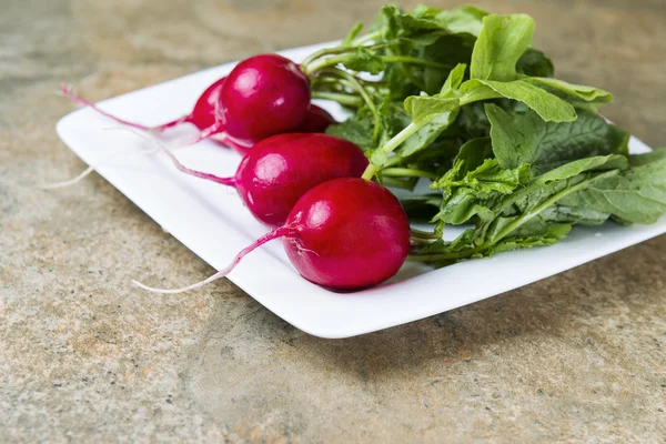 Plate filled with Fresh Radishes — Stock Photo, Image