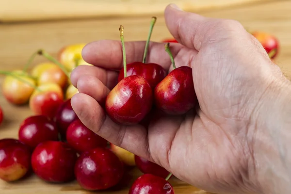 Kersen in hand — Stockfoto