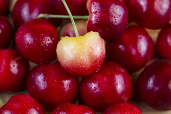 Cereza amarilla grande individual — Foto de Stock