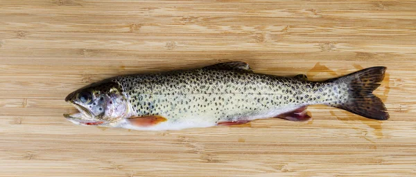 Fresh Wild Trout on Natural Bamboo Wood — Stock Photo, Image