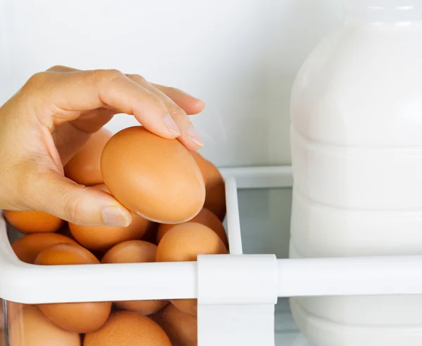 Женщина собирает одно большое яйцо из холодильника — стоковое фото