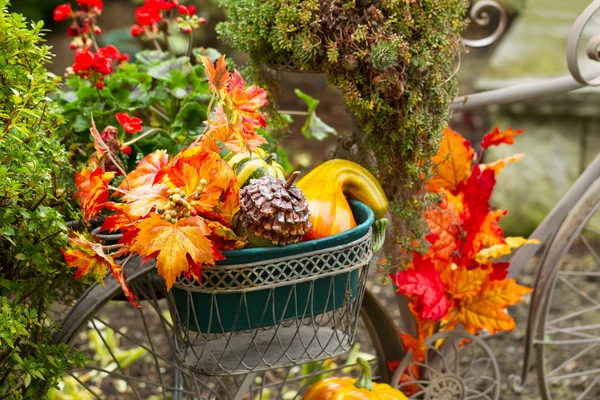 Bike Basket filled with Autumn Objects — Stock Photo, Image