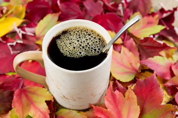 Schwarzer Kaffee im Herbst — Stockfoto