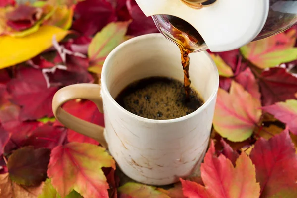 Pouring Fresh Coffee During Fall Time — Stock Photo, Image