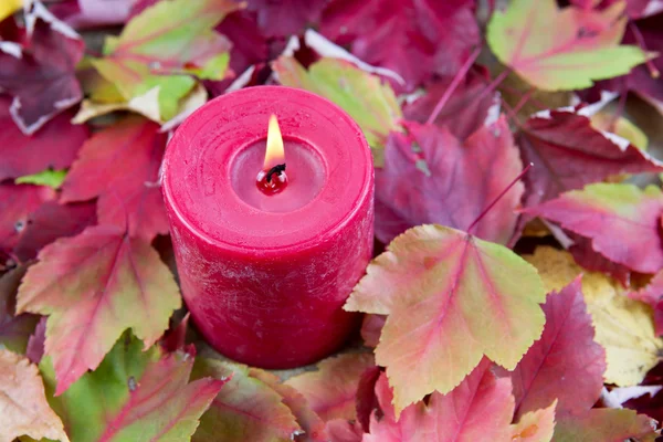 Vela roja para la temporada de otoño —  Fotos de Stock