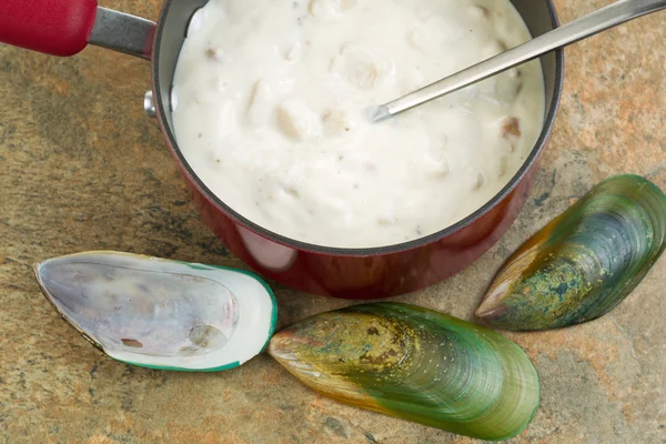 Świeżo wykonane clam chowder — Zdjęcie stockowe