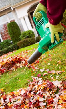 Electrical Blower Cleaning Leaves from Front Yard during Autumn clipart