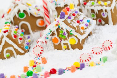 gösterişli evler ve şeker kamışı ile kar