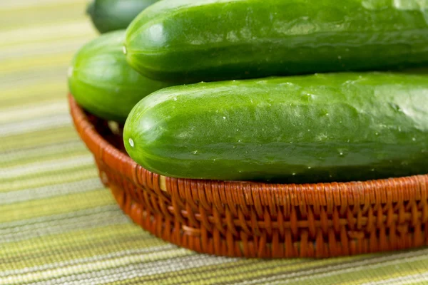 Freshly picked Cucumbers — Stock Photo, Image