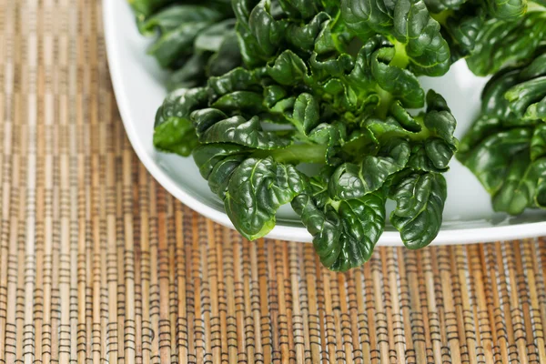 Fresh Choy ready for Cooking — Stock Photo, Image