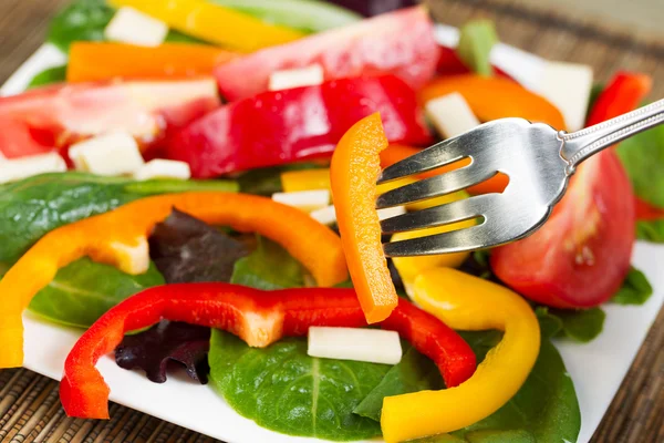 Fresh Salad on Plate — Stock Photo, Image