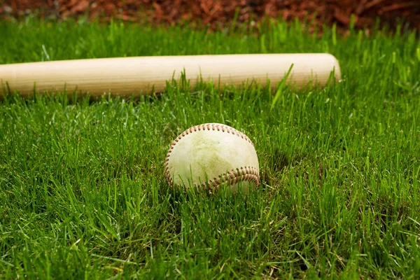 Béisbol viejo y murciélago en el campo —  Fotos de Stock