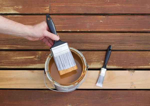 Sumergir el pincel en una lata de mancha de madera — Foto de Stock