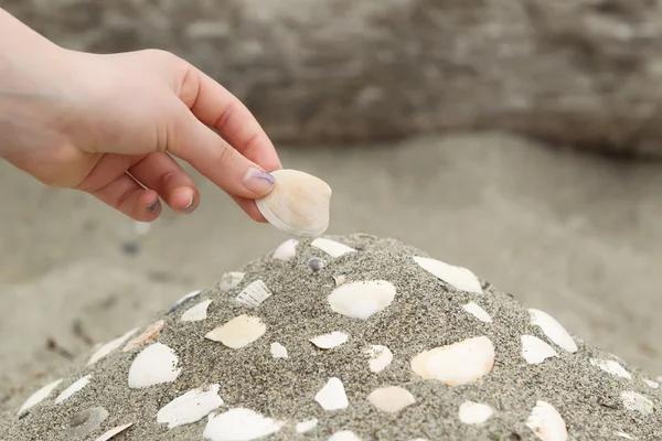 Building a Seashell Collection on the beach — Stock Photo, Image