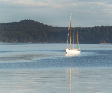 Sailboat Docked in the Water  clipart
