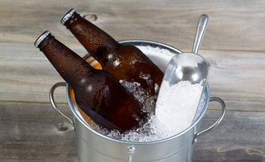 bira buz sezonu için