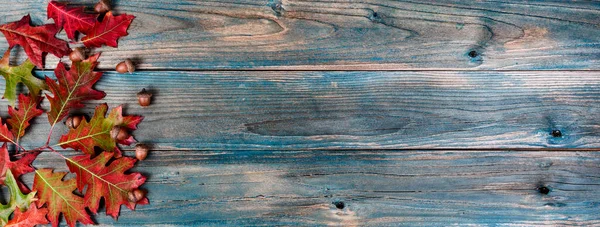 Πλευρικά Σύνορα Πραγματικό Βελανίδια Και Πολύχρωμα Φύλλα Φυλλώματος Μπλε Ξεπερασμένες — Φωτογραφία Αρχείου