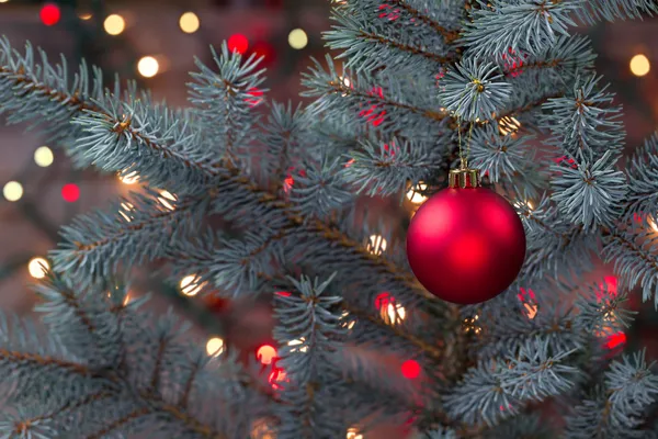 Adorno rojo único colgando de pino con luces brillantes — Foto de Stock