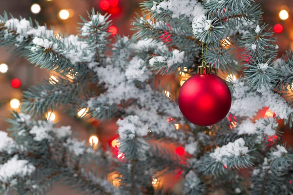 Snötäckta julgran med hängande röda ornament — Stockfoto