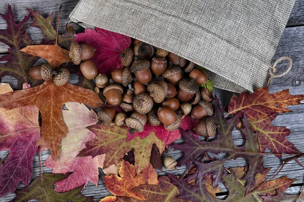 Overhead View Burlap Bag Containing Dried Leaves Acorns Rustic Wooden — Stock Photo, Image