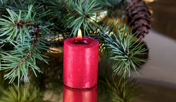 Close Single Red Burning Candle Fir Branches Gold Background Merry — Stock Photo, Image