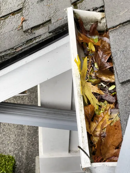 Feuilles Piégées Dans Gouttière Pluie Maison Sur Toit Pendant Saison — Photo