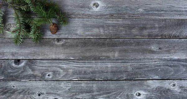 Vue Dessus Seul Cône Pin Avec Des Branches Sapin Sur — Photo