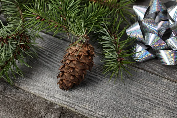 Vue Rapprochée Seul Cône Pin Avec Des Branches Sapin Des — Photo