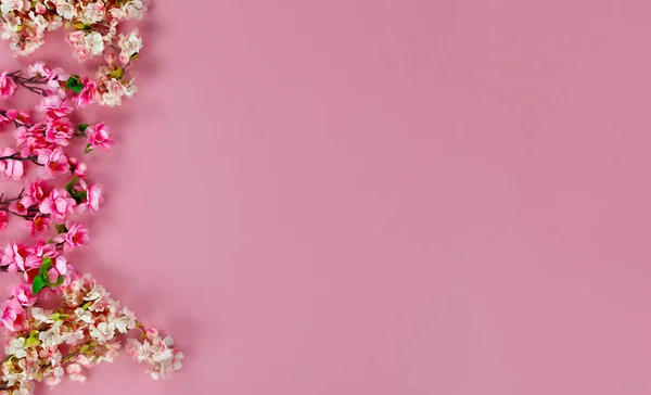 Верхний Вид Вишневых Цветов Образующих Границу Слева Розовом Фоне Дня — стоковое фото