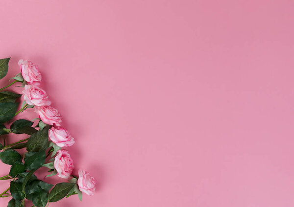 Top view of roses on pink background for Mothers Day holiday concept 