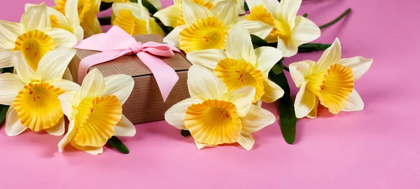 Вид Спереди Желтые Цветы Нарциссов Подарочной Коробкой Заднем Плане Розовом — стоковое фото