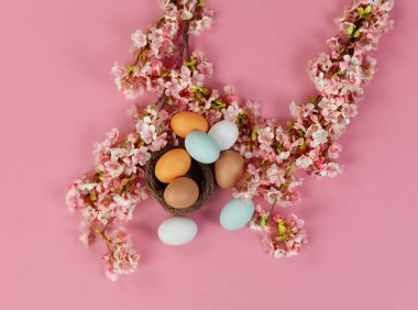 Mutlu Paskalya tatili konsepti için yumuşak pembe arka planda yuvasında renkli yumurtaları olan suni kiraz çiçeklerinin üst görüntüsü.