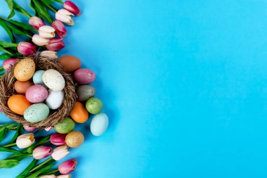 Parlak lale çiçekleri, gökyüzünde yuva ve yumurtalar Paskalya bayramı için mavi arka plan 