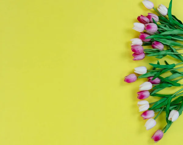 Pravý Boční Okraj Barevných Tulipánů Květin Jasně Žlutém Pozadí Pro — Stock fotografie