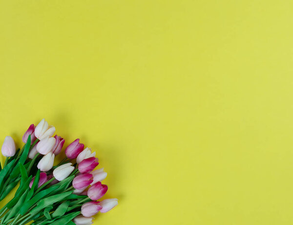 Colorful tulip flowers on a bright yellow background for the Easter or Mothers day holiday season concept  
