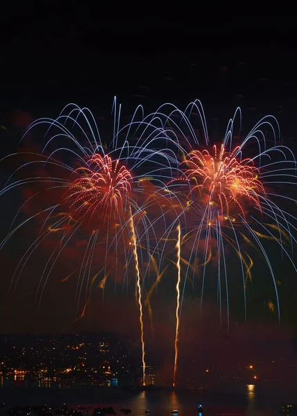 Colorful Fireworks Being Displayed Lake Holiday Celebration Independence Day — Stock Photo, Image