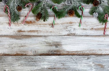 Kar, köknar veya çam ağacı dallarını altın ve gümüş kozalaklı süslemelerle kaplamıştı. Ayrıca Noel veya yeni yıl için beyaz kır ağaçlarında şeker kamışları vardı. 