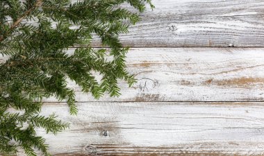 Noel ya da Yeni Yıl tatili konsepti için beyaz ahşap arka plan üzerine gerçek köknar dalı  