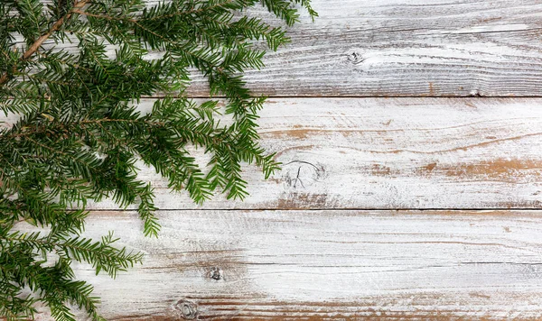 Real Fir Branch White Rustic Wood Background Christmas New Year — Fotografia de Stock