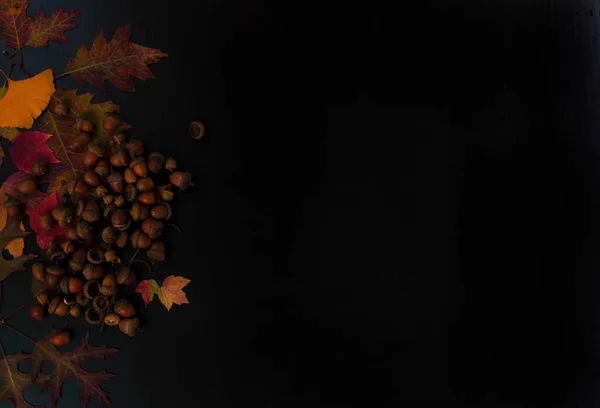 Thanksgiving Halloween Holiday Background Autumn Leaves Acorn Decorations Dark Stone — Stok fotoğraf
