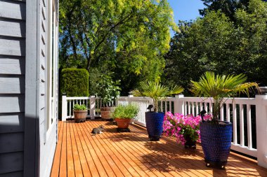 Cat resting on outdoor wood cedar deck during summer time with blooming garden in pots