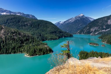 North Cascades national park, lake Diablo, in Washington state with dying wild flowers in forefront 