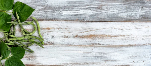 Overhead view of green pole beans freshly harvested on white rustic wood with copy space 