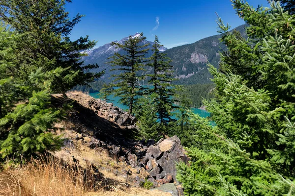 North Cascades National Park Lake Diablo Washington State Evergreen Trees — Fotografia de Stock