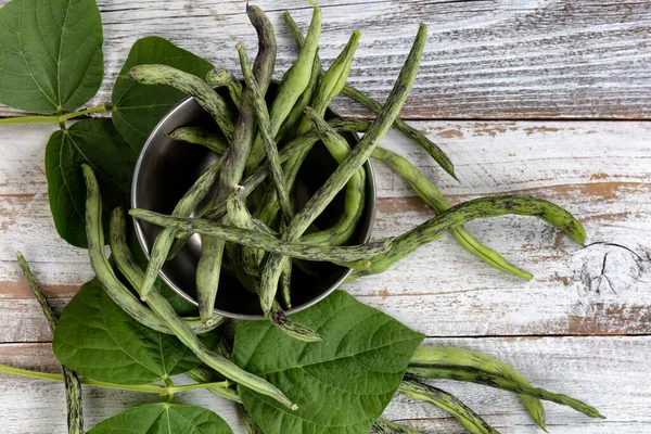 Filled Frame Green Rattlesnake Pole Beans Flow Out Stainless Steel — ストック写真