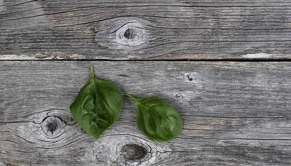 Fresh Basil Leaves Rustic Wood Background — Stock Photo, Image