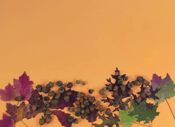 秋天的概念 带有橡子和树叶的坚实的橙色背景为万圣节或感恩节的假日季节 — 图库照片