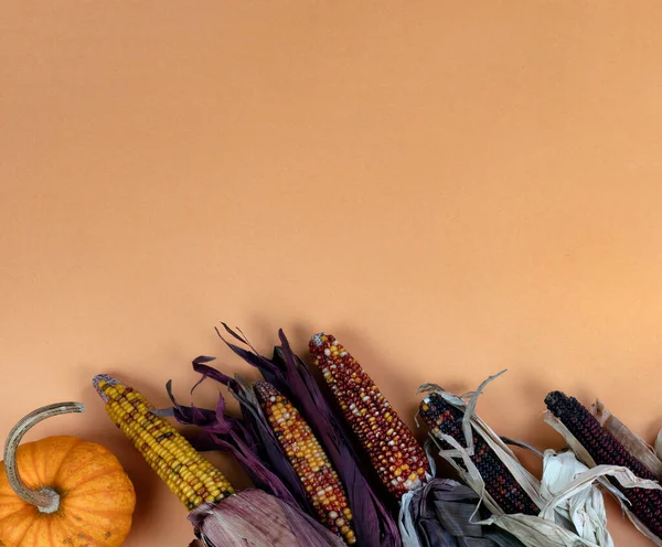 Őszi Vagy Őszi Tök Kukorica Háttér Világos Narancssárga Papír Hálaadás — Stock Fotó