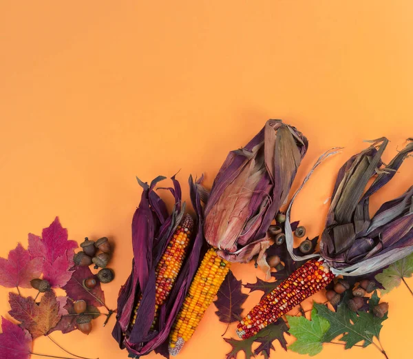 Concepto Fondo Vacaciones Otoño Con Callos Bellotas Hojas Sobre Fondo —  Fotos de Stock