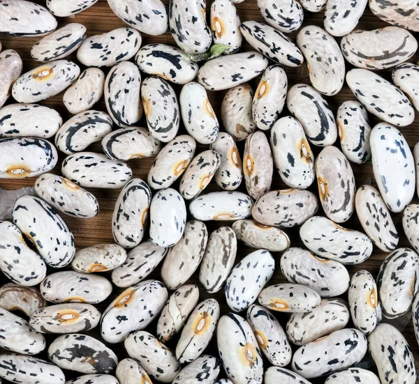 Quadro Preenchido Sementes Feijão Verde Secas Prontas Para Plantar Próxima — Fotografia de Stock